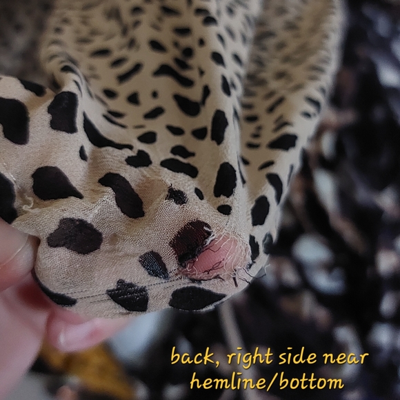 Haute Fox 2X Womens Sheer Animal Print Lightweight Plus Size Jacket Cover Up - Picture 8 of 13